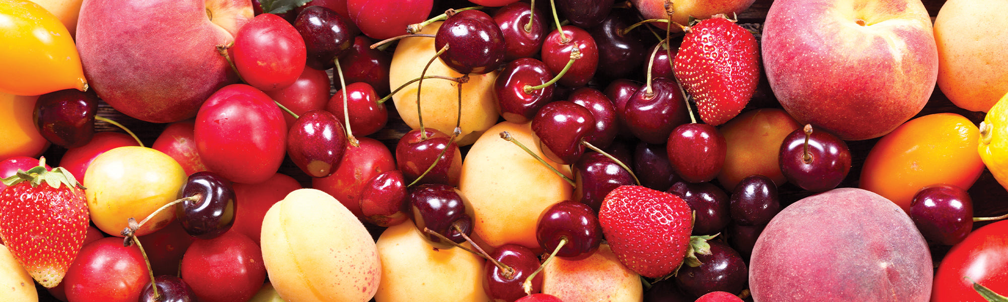 Aubépine - Crataegus