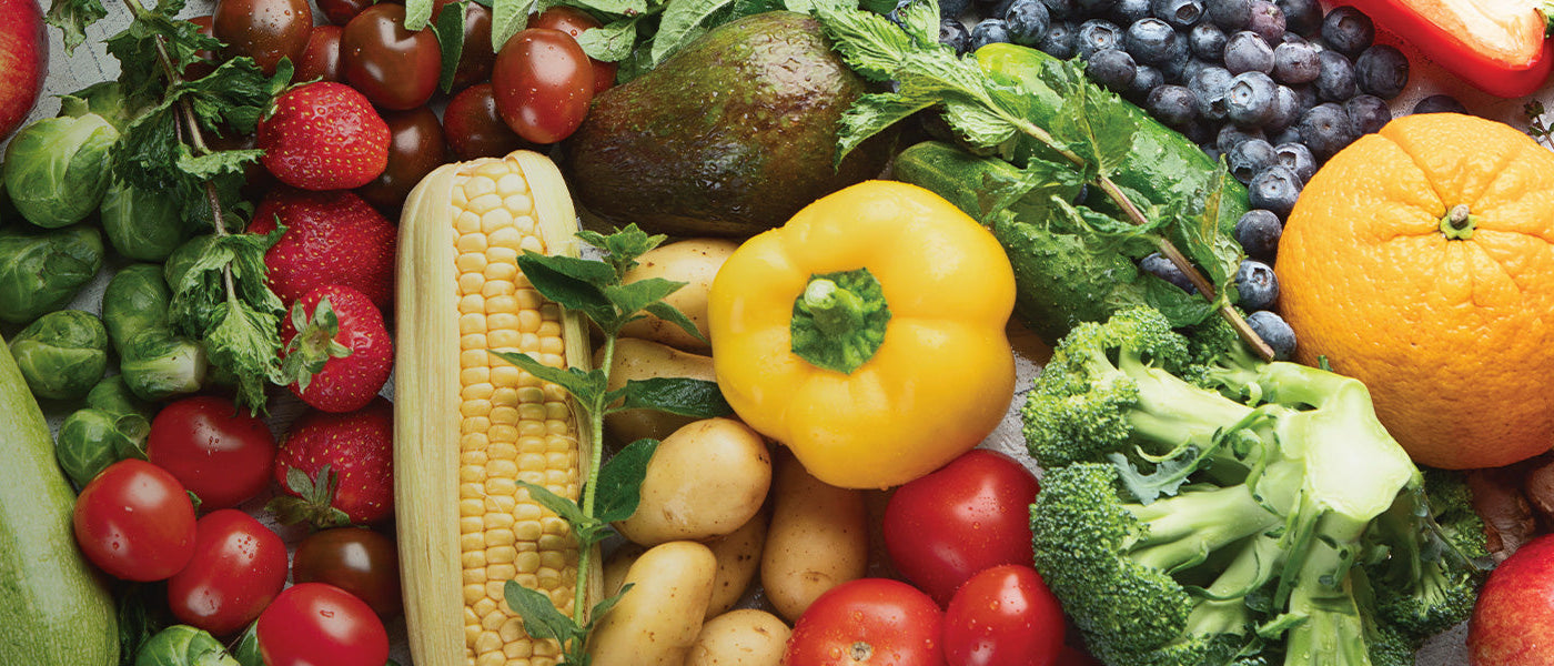 Laitue tatarique - Lactuca tatarica