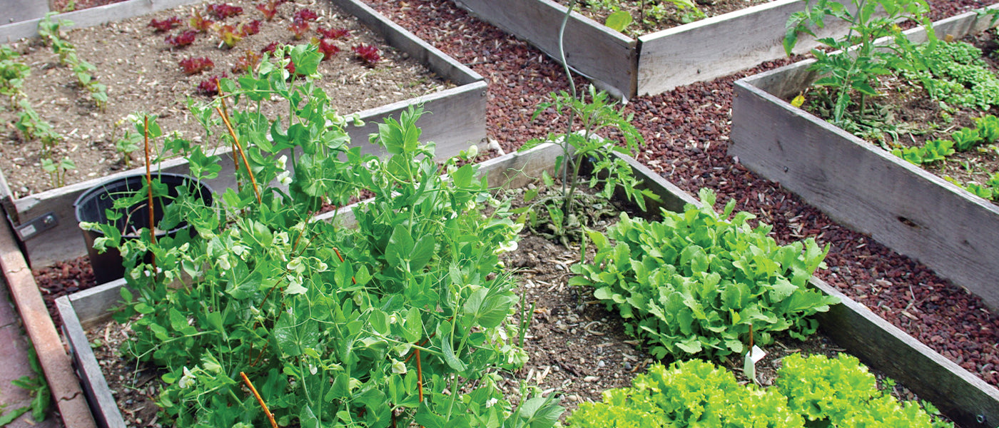 Matériel de jardin et outils de traitement des déchets