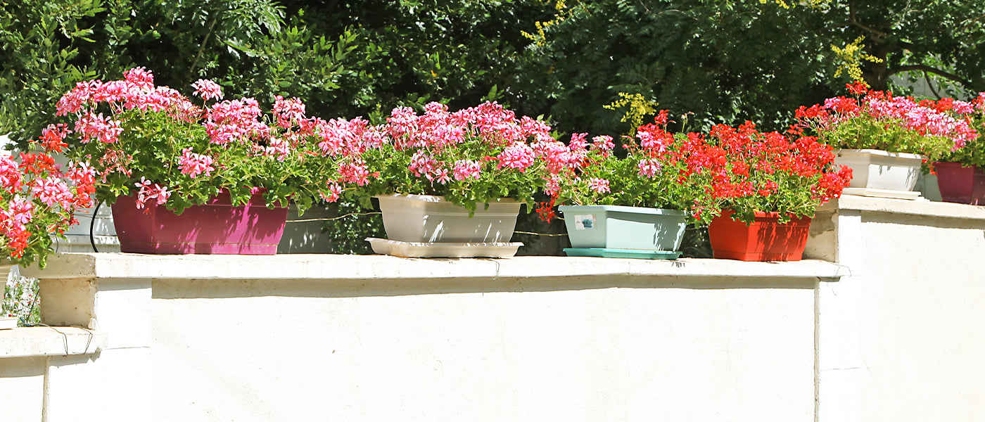 Jardinières et balconnières