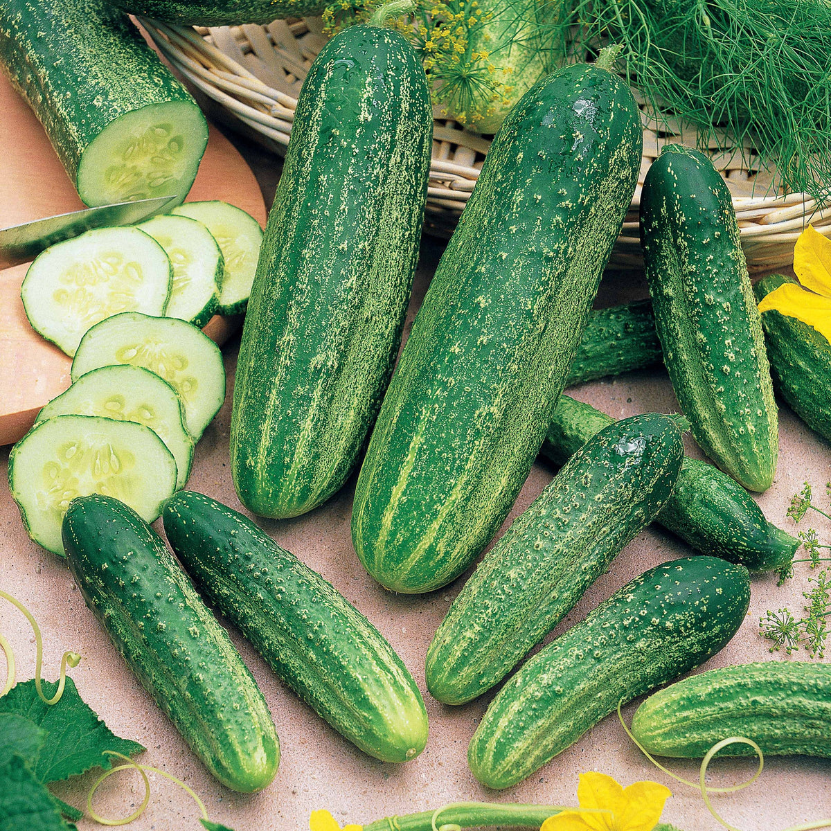 Cornichon concombre Delikatess - Willemse