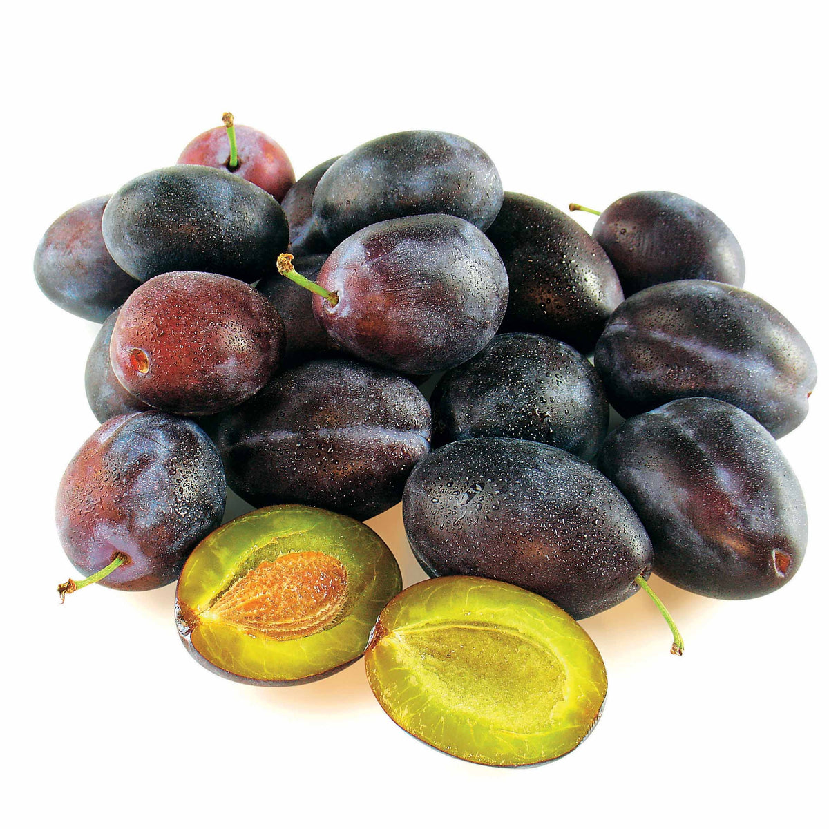 Prunier Quetsche d'Alsace - Prunus domestica quetsche d'alsace - Fruitiers Arbres et arbustes