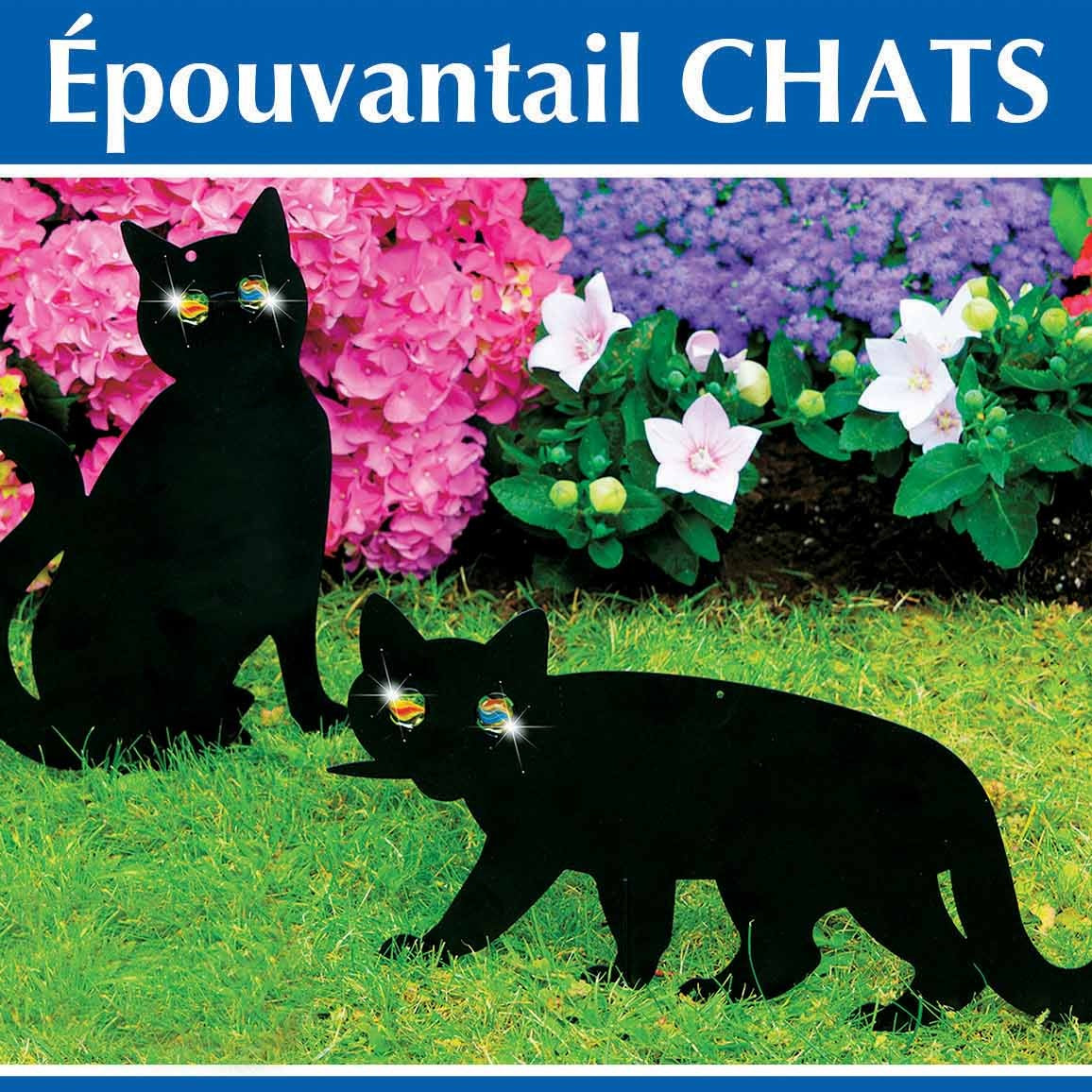 2 Epouvantails chat - Plantes