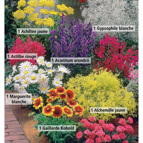 Massif fleuri facile - 8 plantes vivaces - Superficie environ 1,5 m² - 2