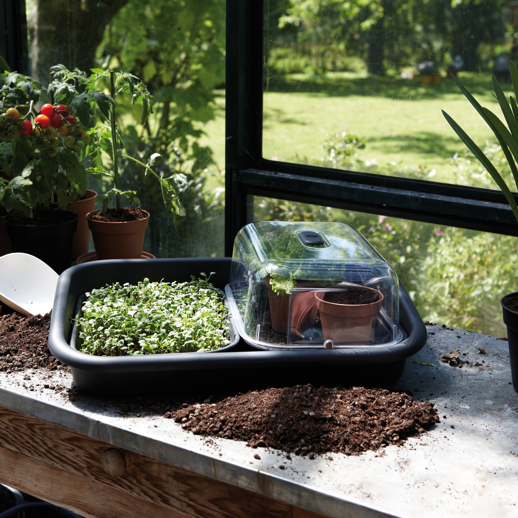 Soucoupe Green Basic Propagation ELHO - Pots et contenants pour cultiver vos plantes
