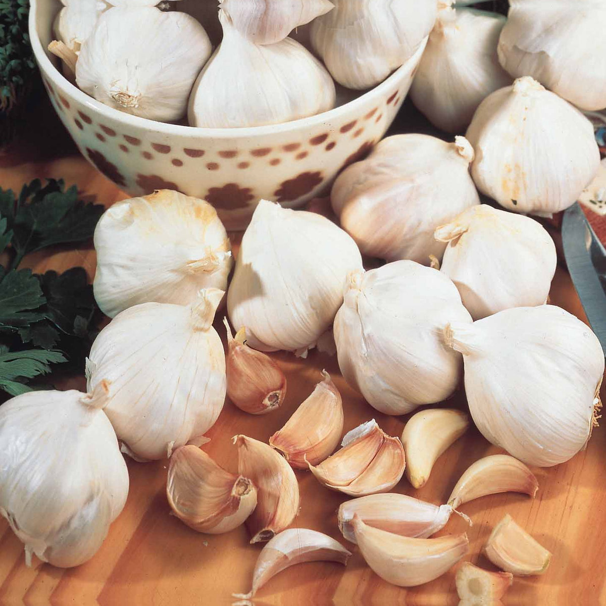 Ail rose Arno - Willemse