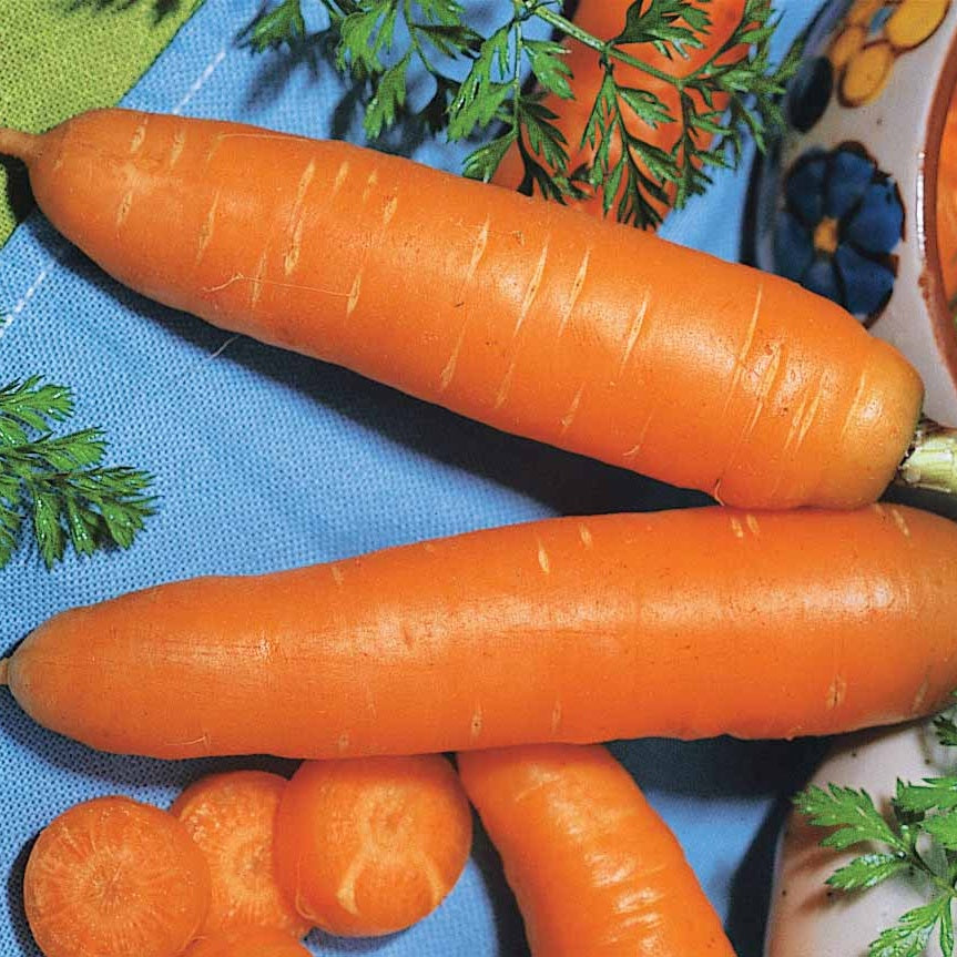 Collection de carottes : Nantaise, Carentan, Colmar