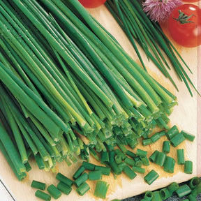 Ciboulette Commune Bio - Willemse