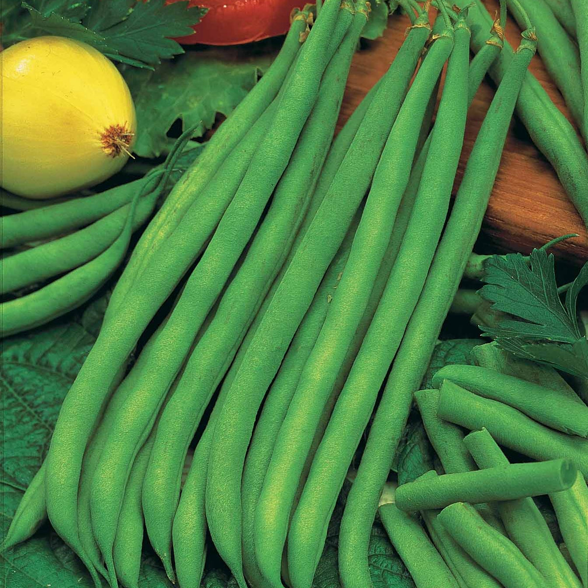 Haricot nain mangetout Princesse double de Hollande (200 g) - Willemse