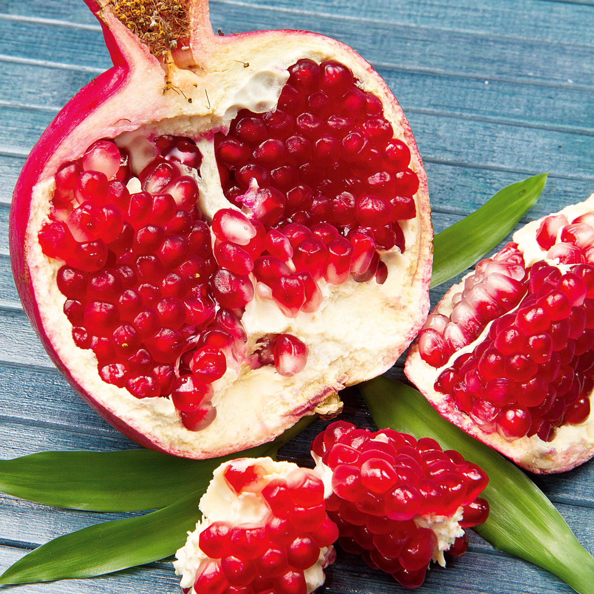 Grenadier Meknes - Willemse