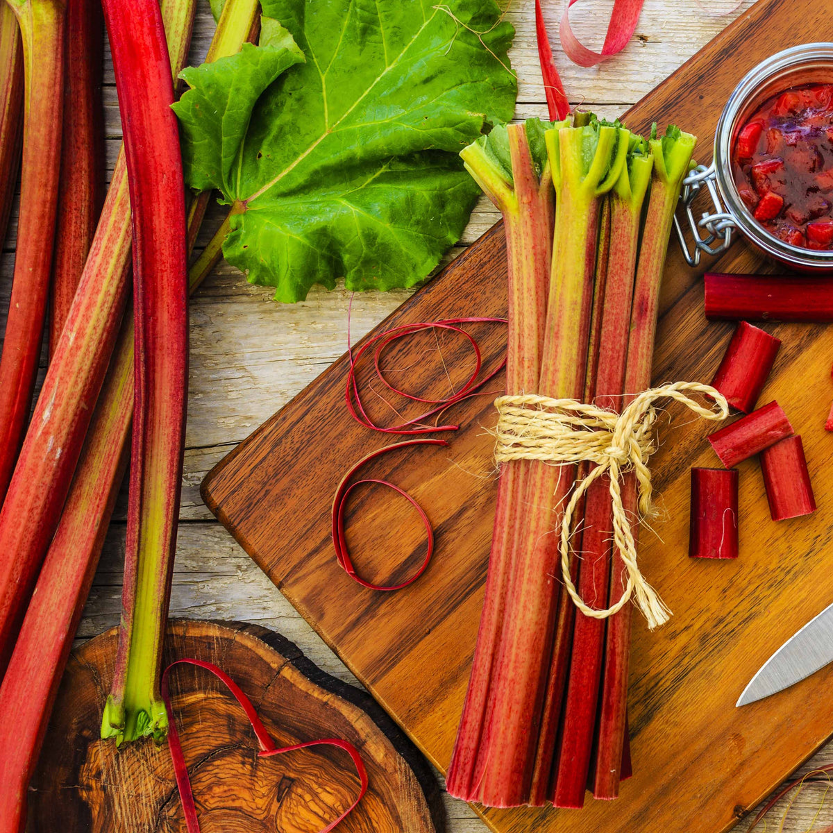 6 Rhubarbes - Willemse