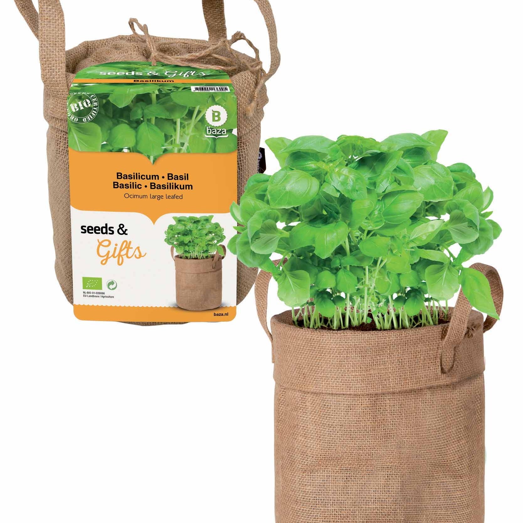 Basilic et sac déco - Willemse