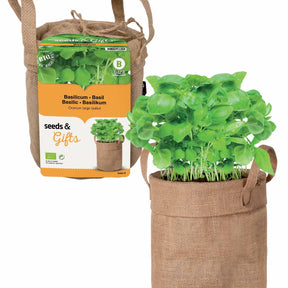 Basilic et sac déco - Willemse