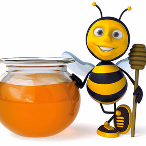 65 bulbes violet attirant les abeilles - Collections de bulbes - Willemse