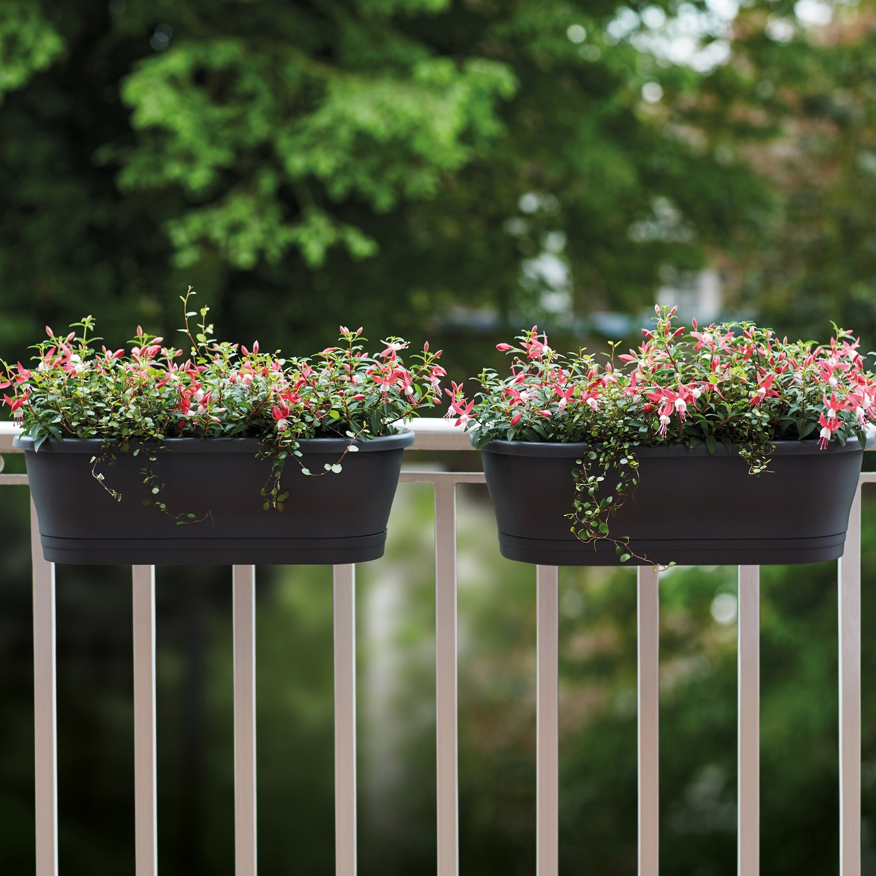  - Balconnière Corsica Easy Balcony bleu - Jardinières et balconnières