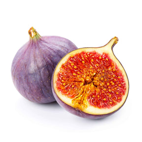 Figuier Perretta - Ficus carica Gustissimo Perretta - Willemse