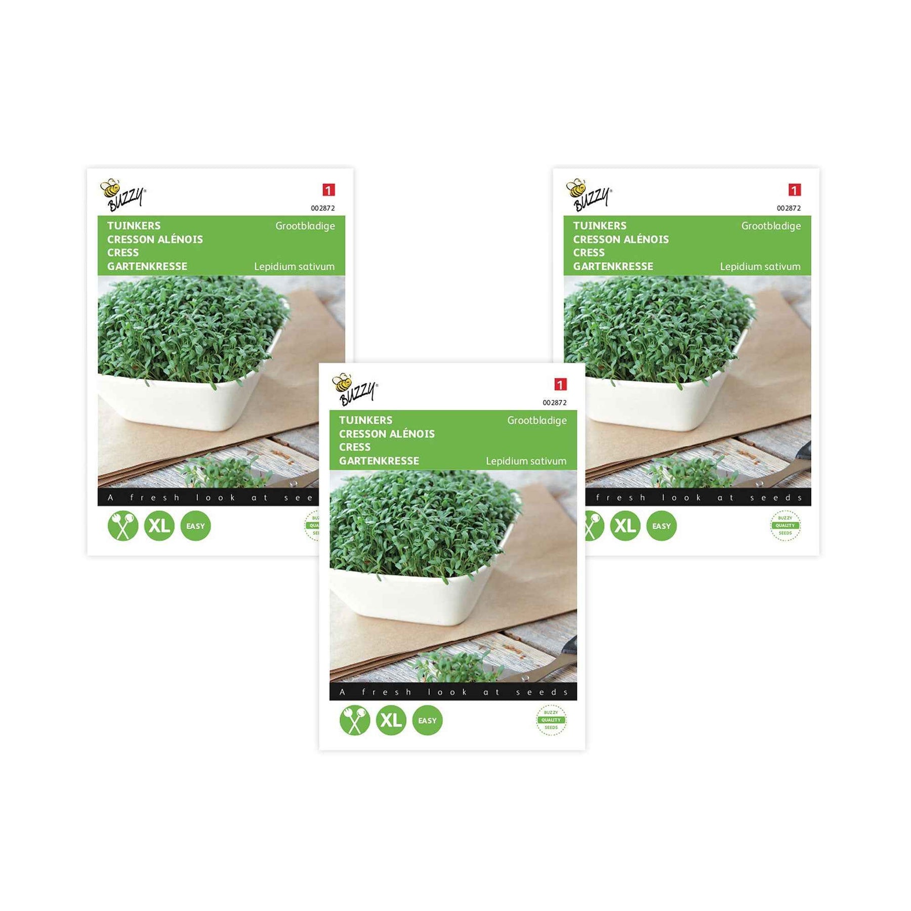 Cresson alénois commun - Lepidium sativum - Potager