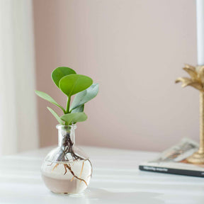 Vase P7 -  - Willemse