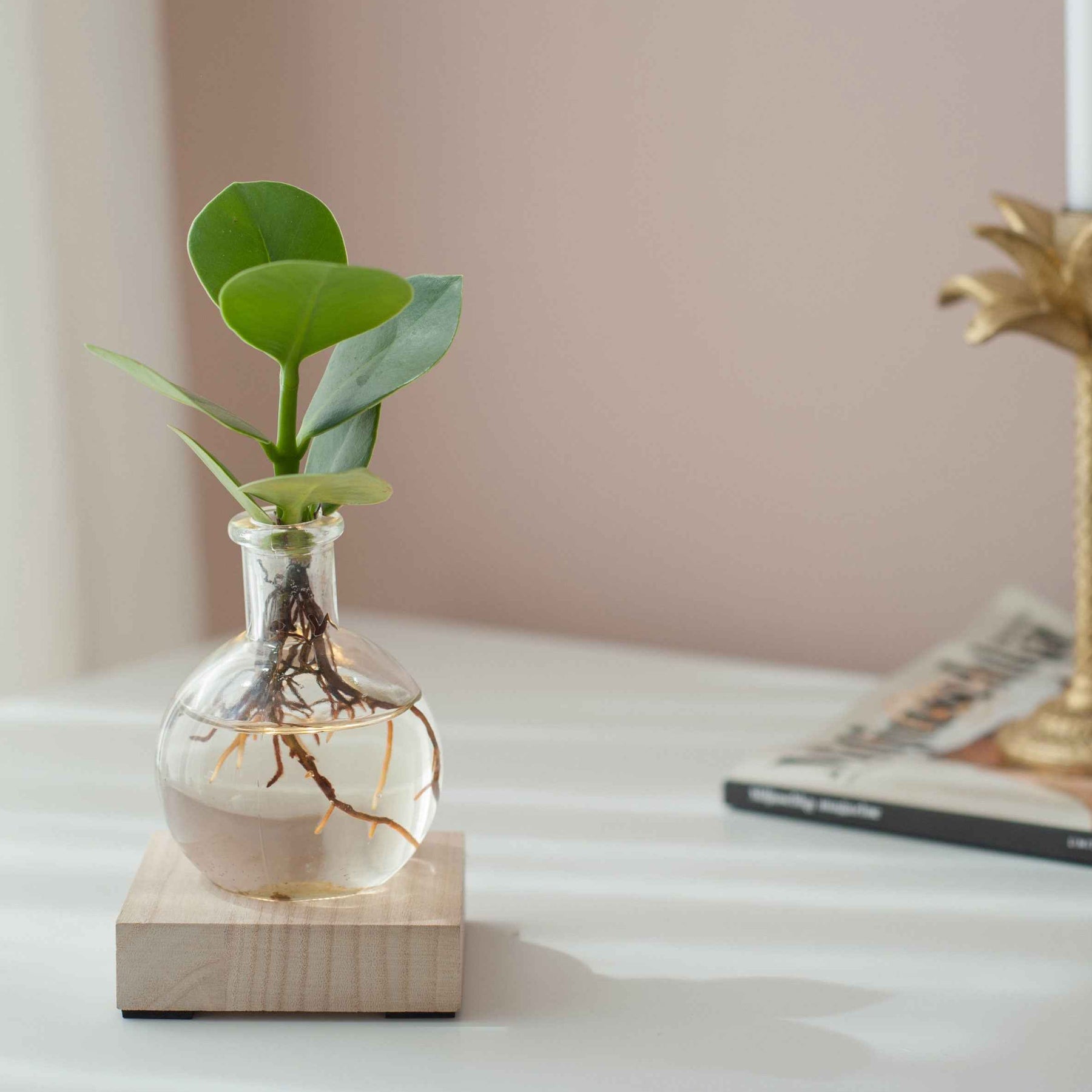  - Hydro P7 + LED - Collections de plantes d'intérieur