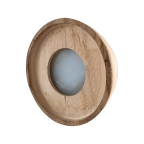 Hydro - Syngonium et son ampoule vase avec LED - Syngonium