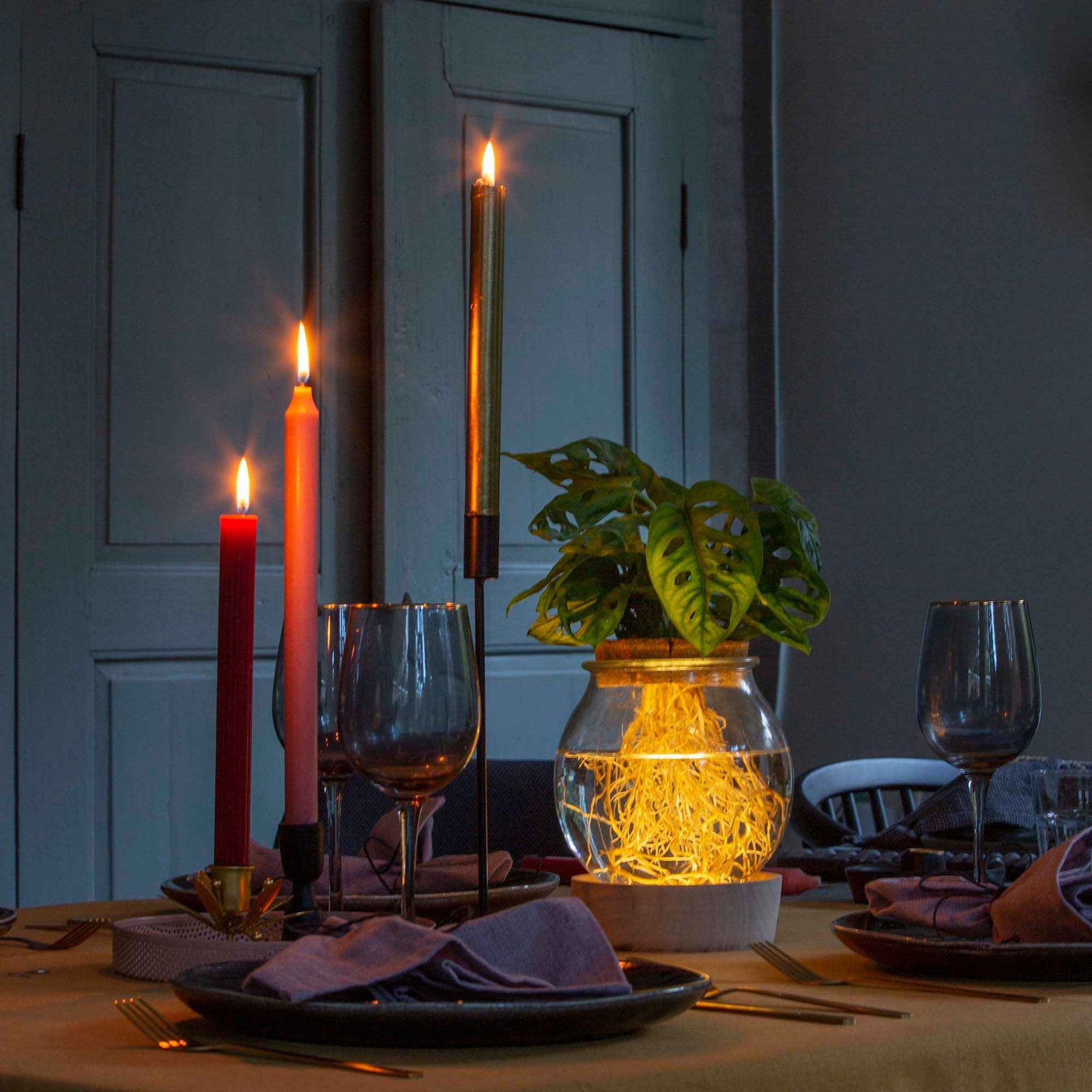  - Hydro ampoule P15 + LED - Collections de plantes d'intérieur
