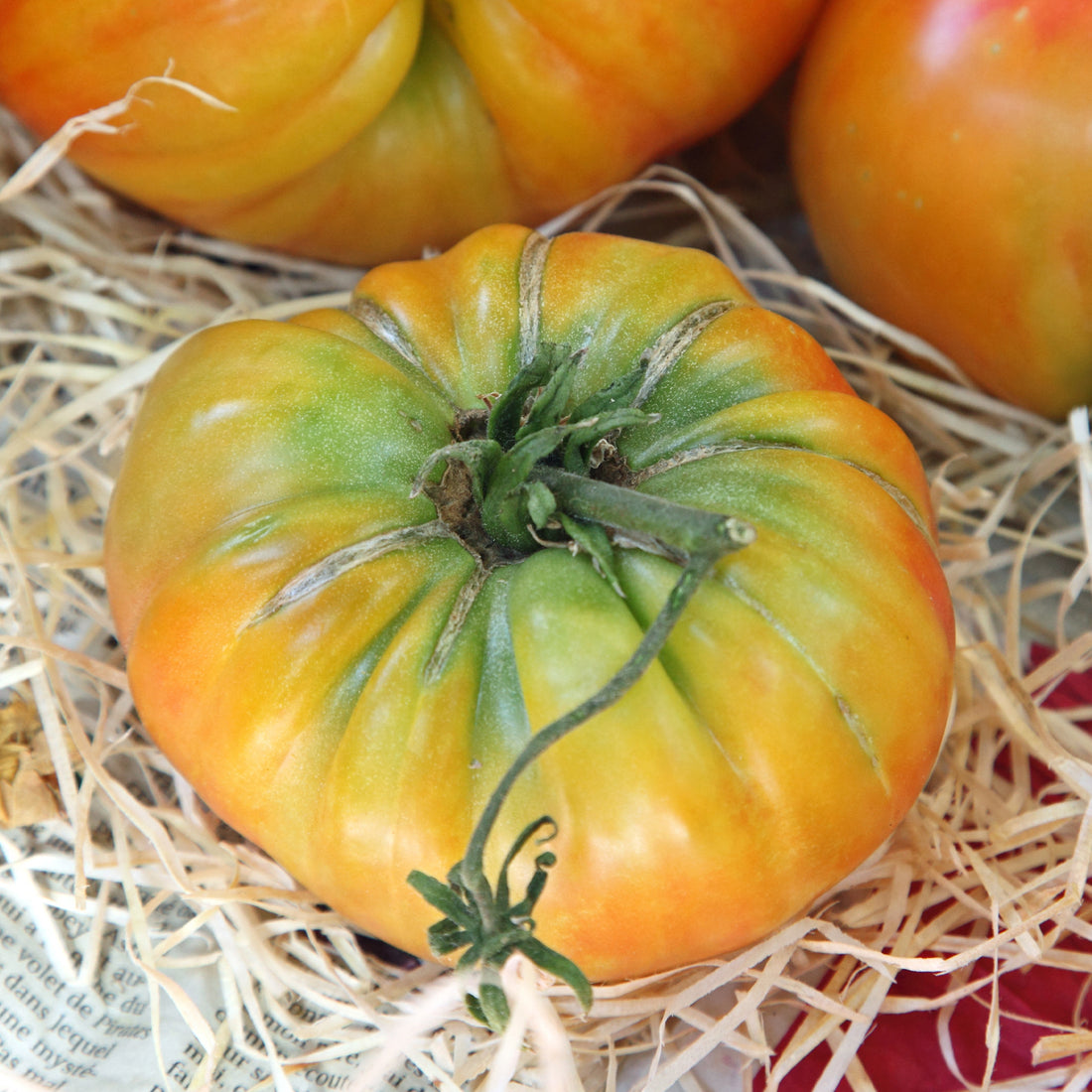 Graines De Tomate Noire De Crimée - Sachet De 50 Graines - Variété Ancienne, Fruit Gros (150-300g), Goût Sucré Et Productif - 10