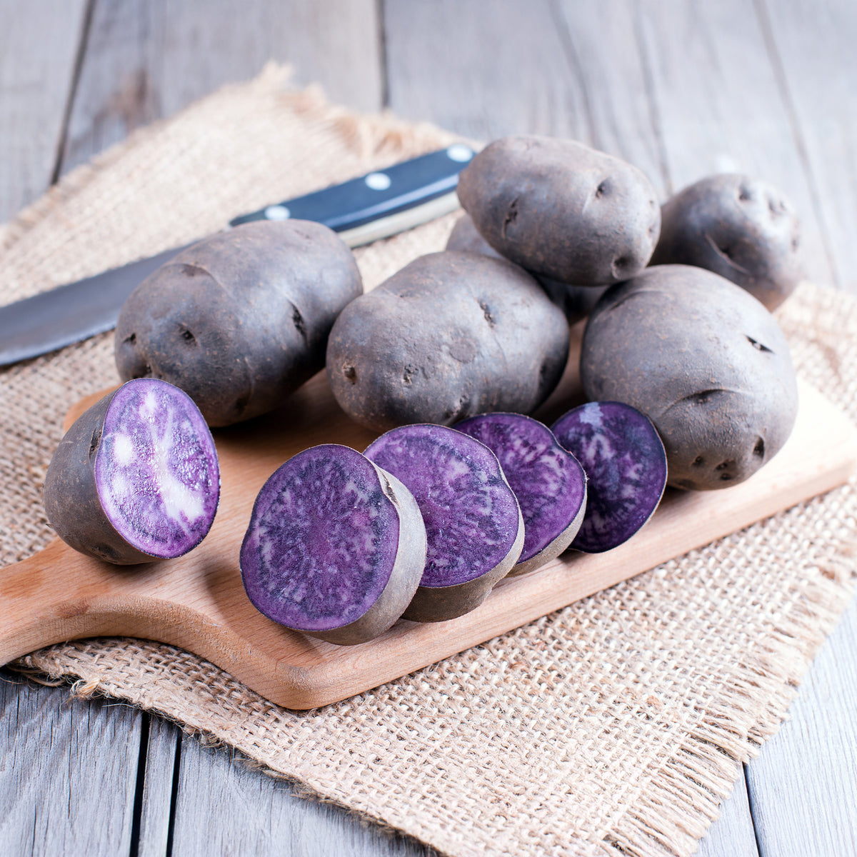 10 Pommes de terre Bleue d'Artois ® - Bleue de la Manche - Willemse