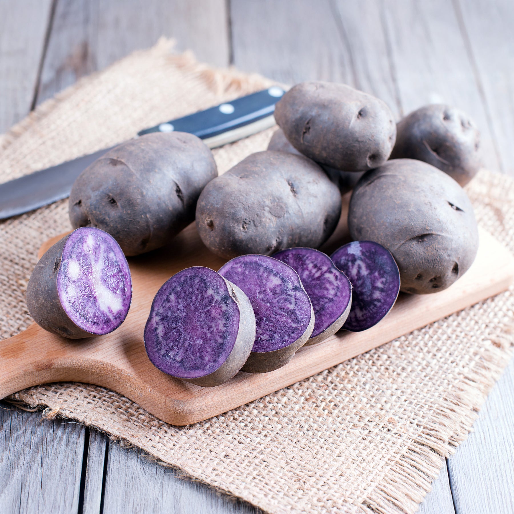 10 Pommes de terre Bleue d'Artois ® - Bleue de la Manche - Willemse