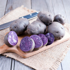 10 Pommes de terre Bleue d'Artois ® - Bleue de la Manche - Willemse