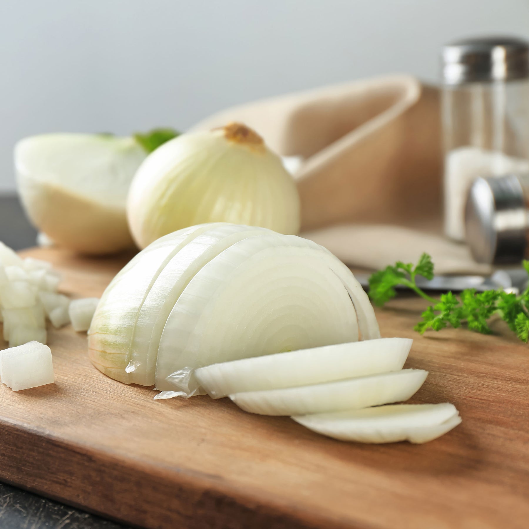 Allium cepa snowball - Oignon blanc Snowball - Bulbes d'oignons