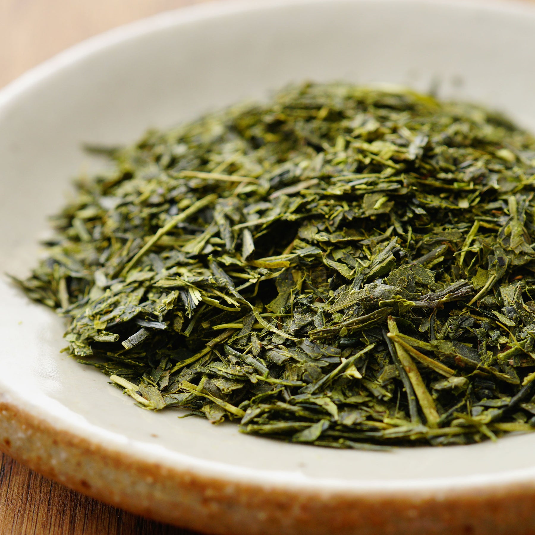 Plantes vertes - Théier - Camellia sinensis