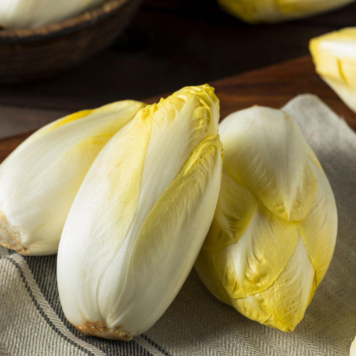 Chicorée Mechelse Middelvroeg Bio - Cichorium intybus mechelse middelvroeg - Willemse