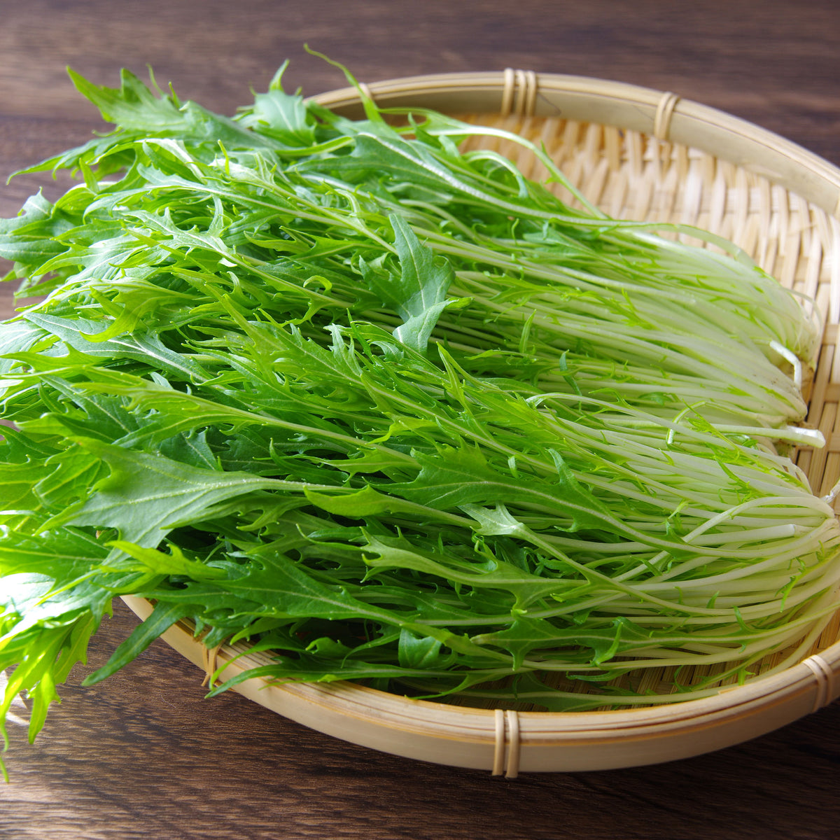 Chou salade Japonais Mizuna Bio - Willemse