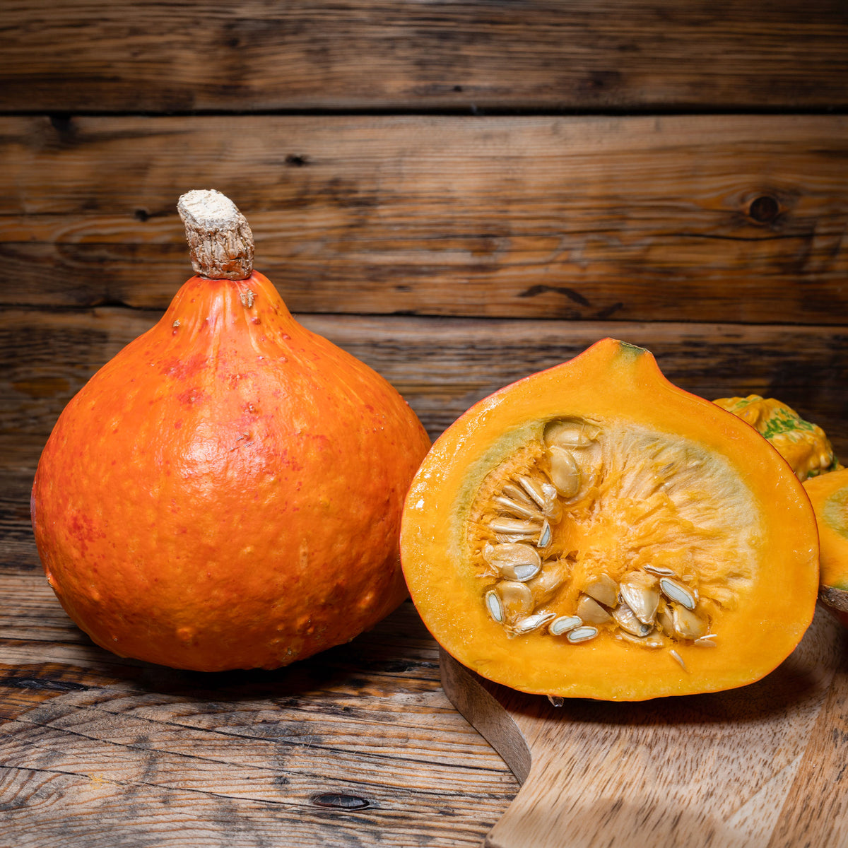 Potiron Uchiki Kuri Bio - Cucurbita maxima uchiki kuri - Willemse