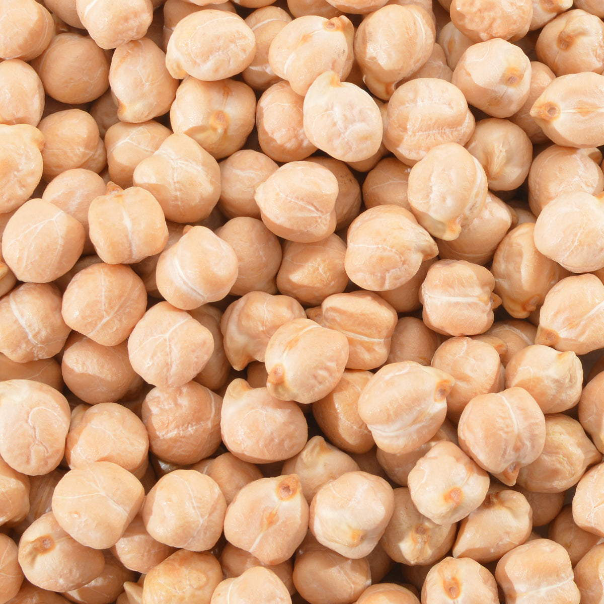Pois-chiche