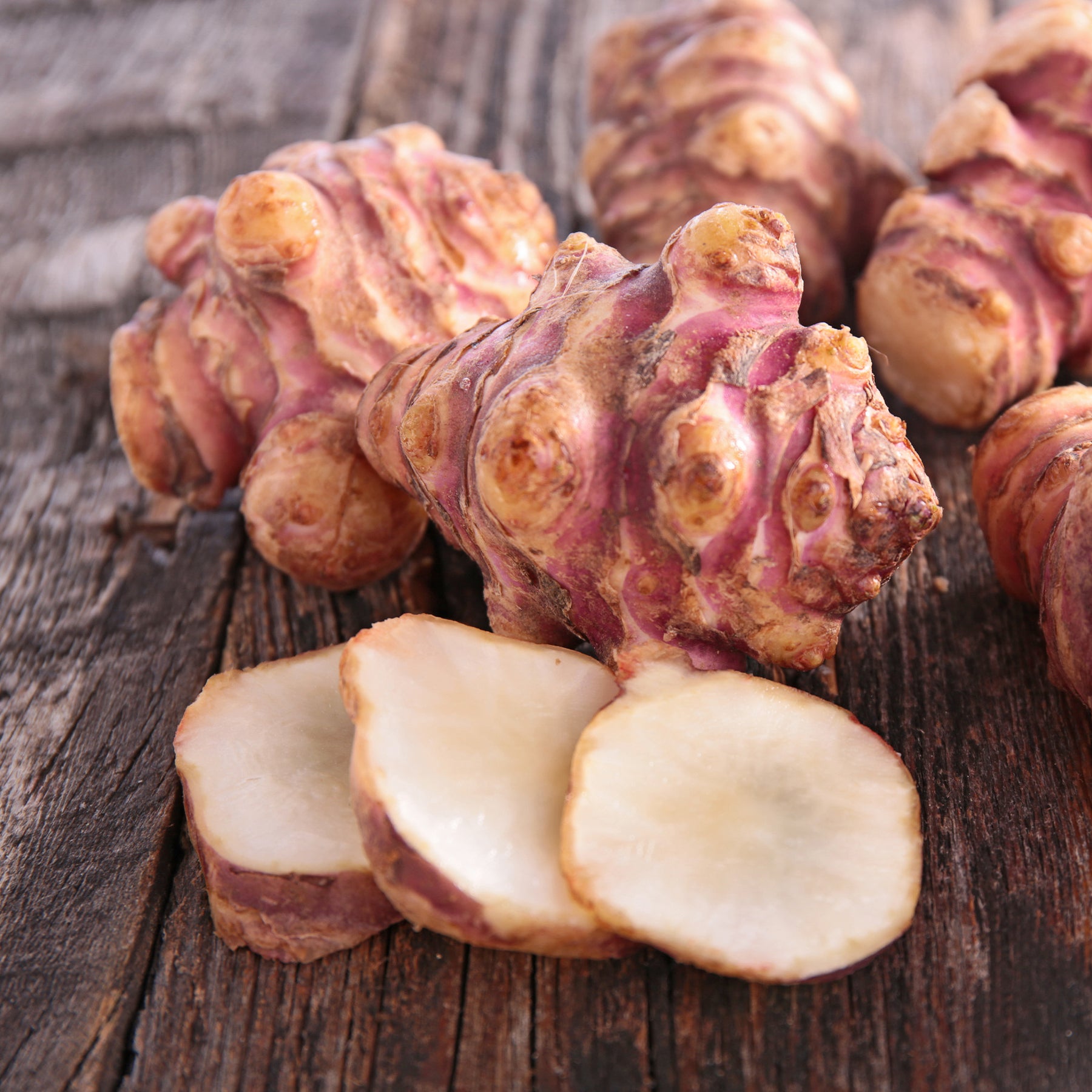 5 Topinambours Violets - Helianthus tuberosus - Willemse