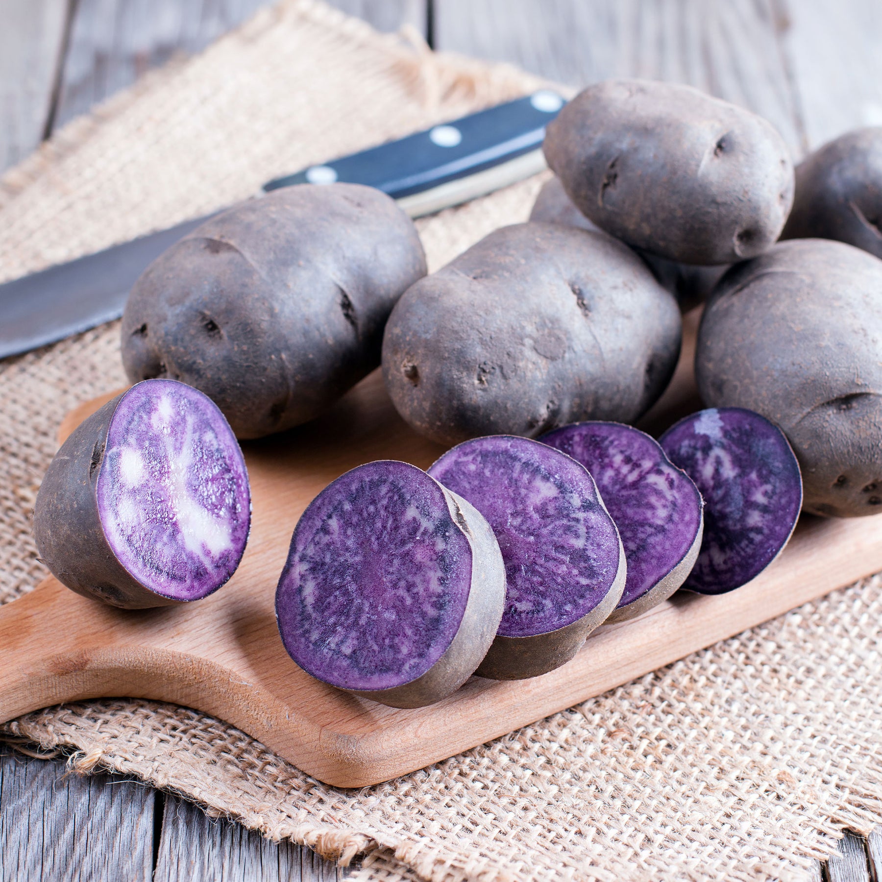 Pommes de terre Ulysse Bio - Willemse