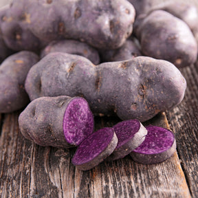 Pommes de terre Ulysse Bio - Solanum tuberosum ulysse - Willemse