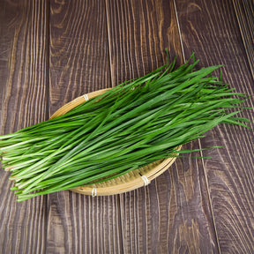 Ciboule de Chine  - Ciboulette Ail Bio