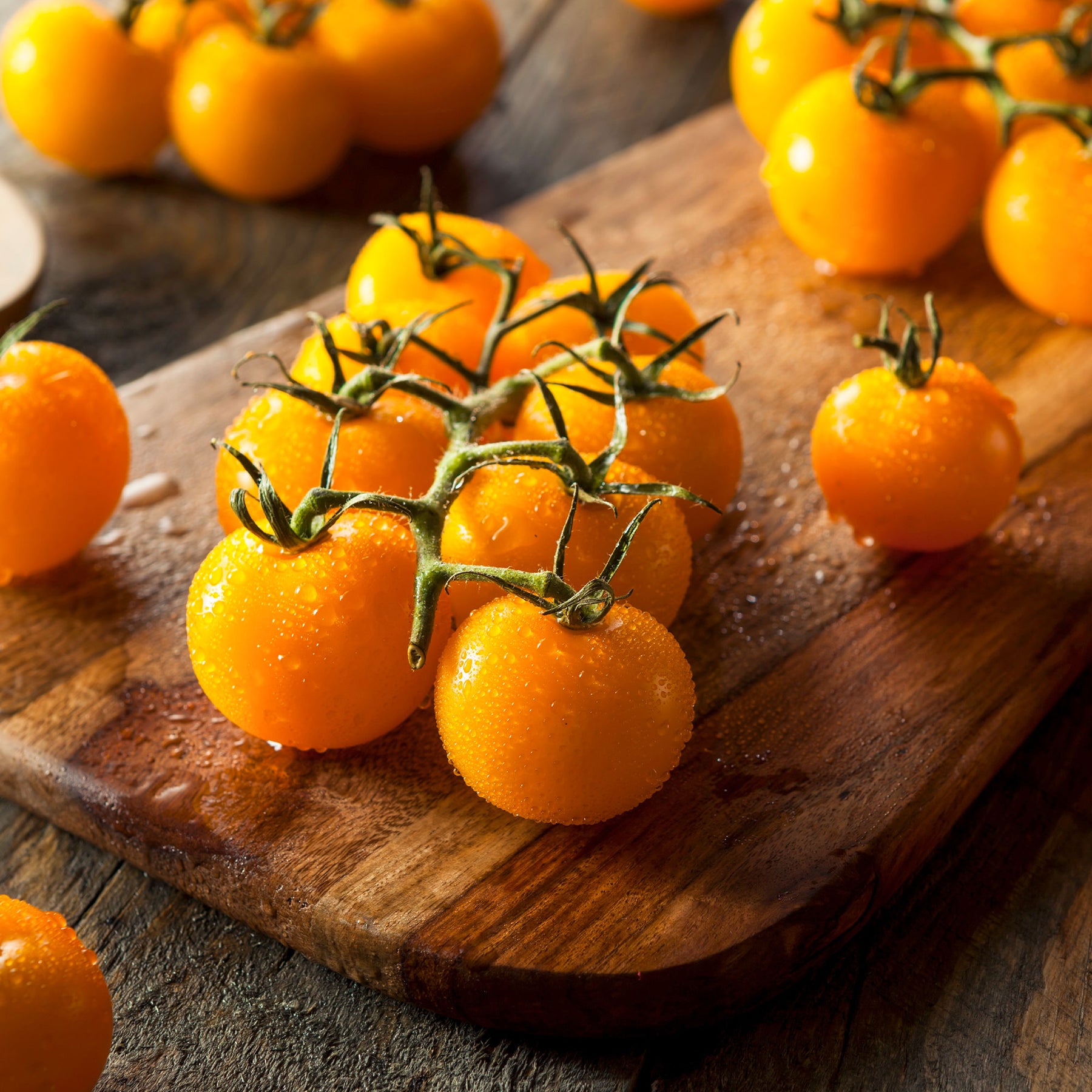 Solanum lycopersicum cocktail raisins jaunes - Tomate Cocktail Raisins jaunes - Tomates