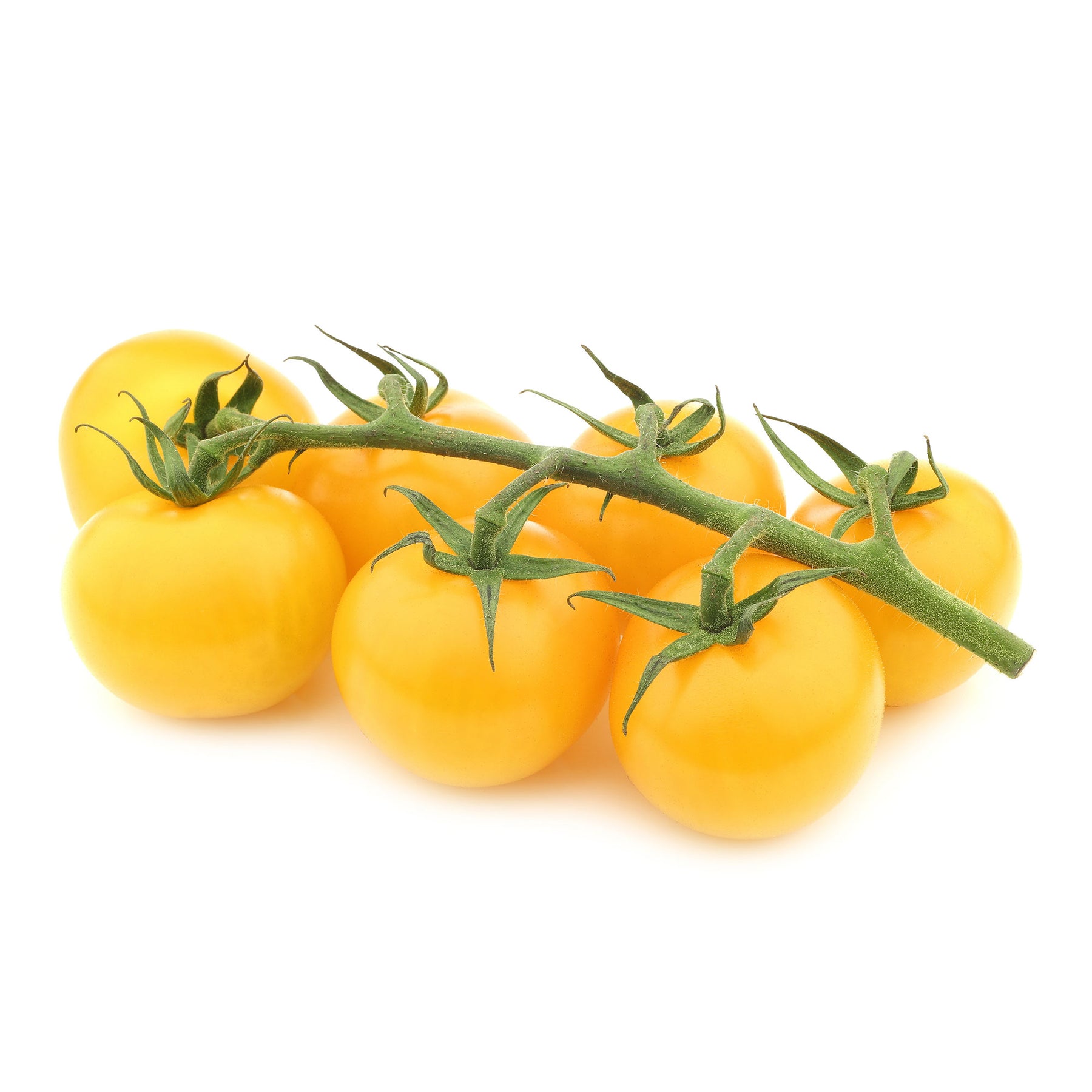 Tomates - Tomate Cocktail Raisins jaunes - Solanum lycopersicum cocktail raisins jaunes