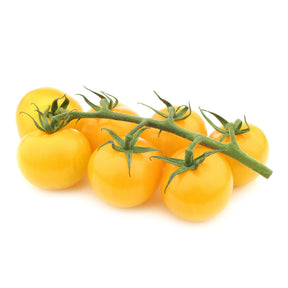 Tomates - Tomate Cocktail Raisins jaunes - Solanum lycopersicum cocktail raisins jaunes