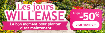 Les Jours Willemse commençent : jusqu’à -50% de remise !