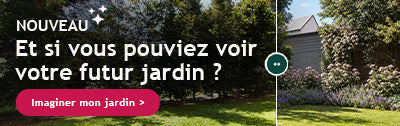 Jardin magique