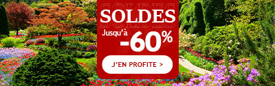 Les soldes commencent: jusqu'à -60% de remise