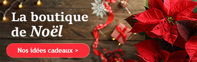 Boutique de Noel