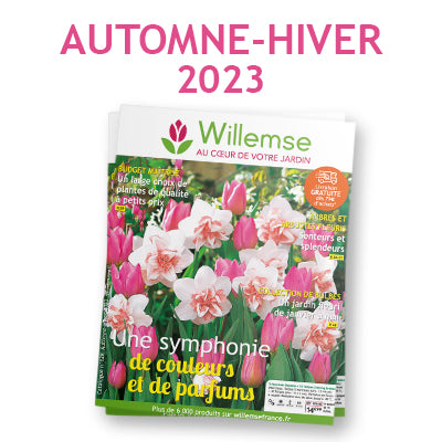 Le catalogue Automne/Hiver 2023 est disponible !
