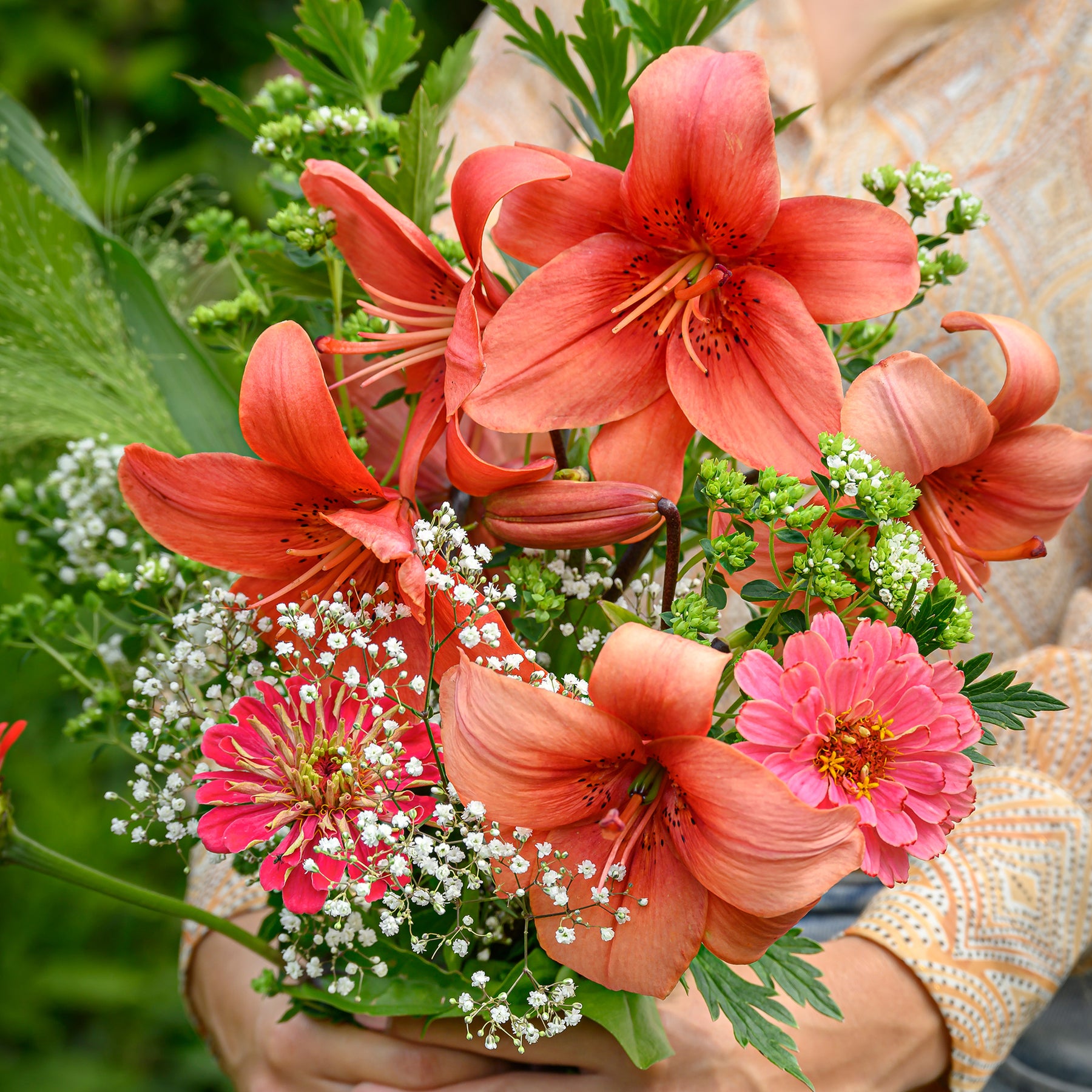 Lis - Lys - Lis asiatique rouge et mélange de graines de fleurs - Lilium asiaticum red