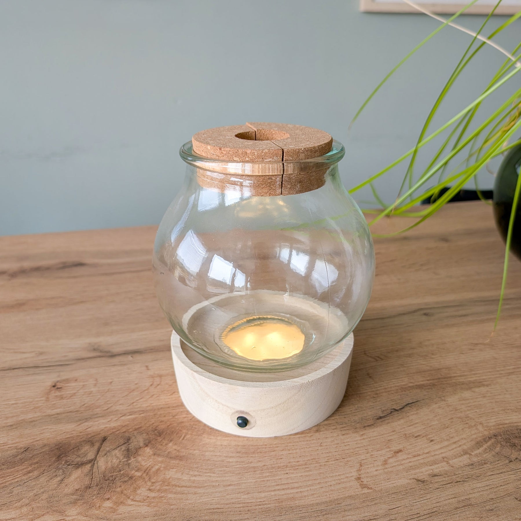 Hydro ampoule P15 + LED - Willemse