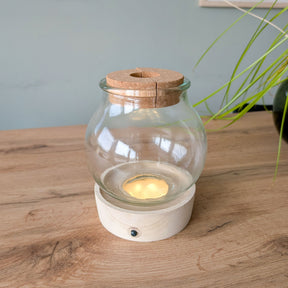 Hydro ampoule P15 + LED - Willemse